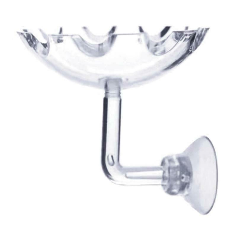 Shrimp Feeder Bowl Easy Fixed Clear Color Fish Feeding Dish with Durable Glass