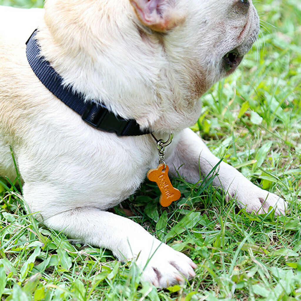 Premium Bone Shaped Pet Aluminum ID Tags Keychain - Dogs Cats Necklace Collar