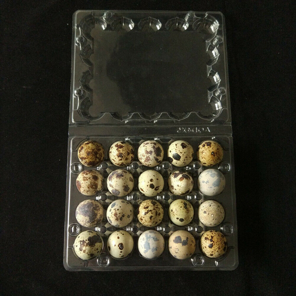 50Pcs Quail Egg Cartons Holds 20 Eggs Snap Close Plastic Box Container Packaging
