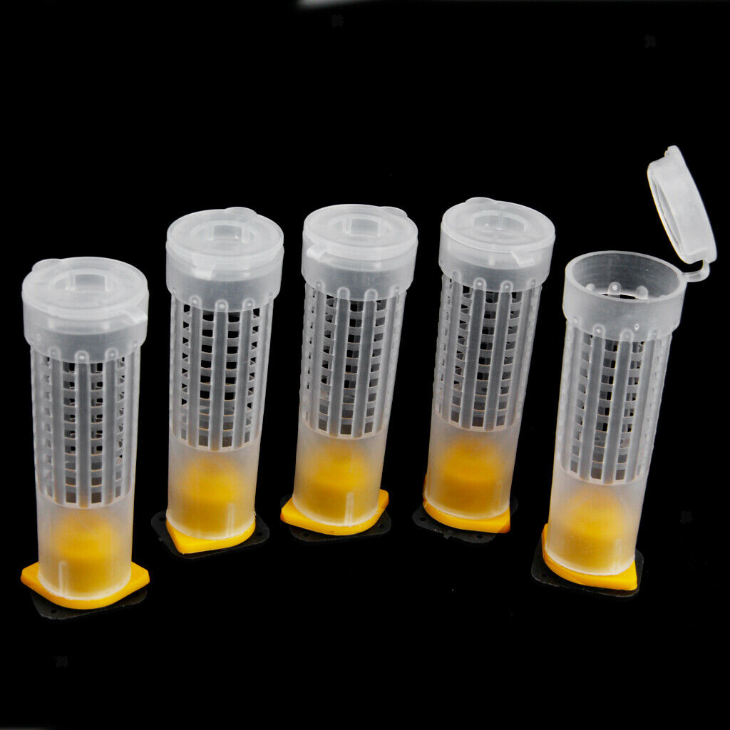 3 Set Beekeeping Rearing Cupkit Queen Bee Hair Roller Cage Beekeepers Equip Tool