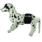 Premium Washable Reusable Small Dog Belly Wrap Leakproof Puppy Diapers Nappies
