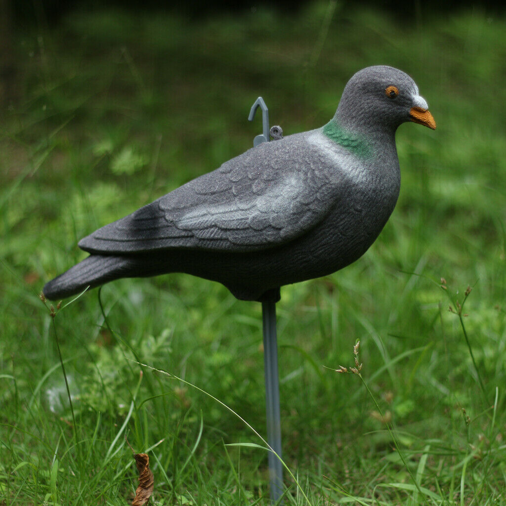 It's like a real artificial pigeon garden decoration decoy decoration