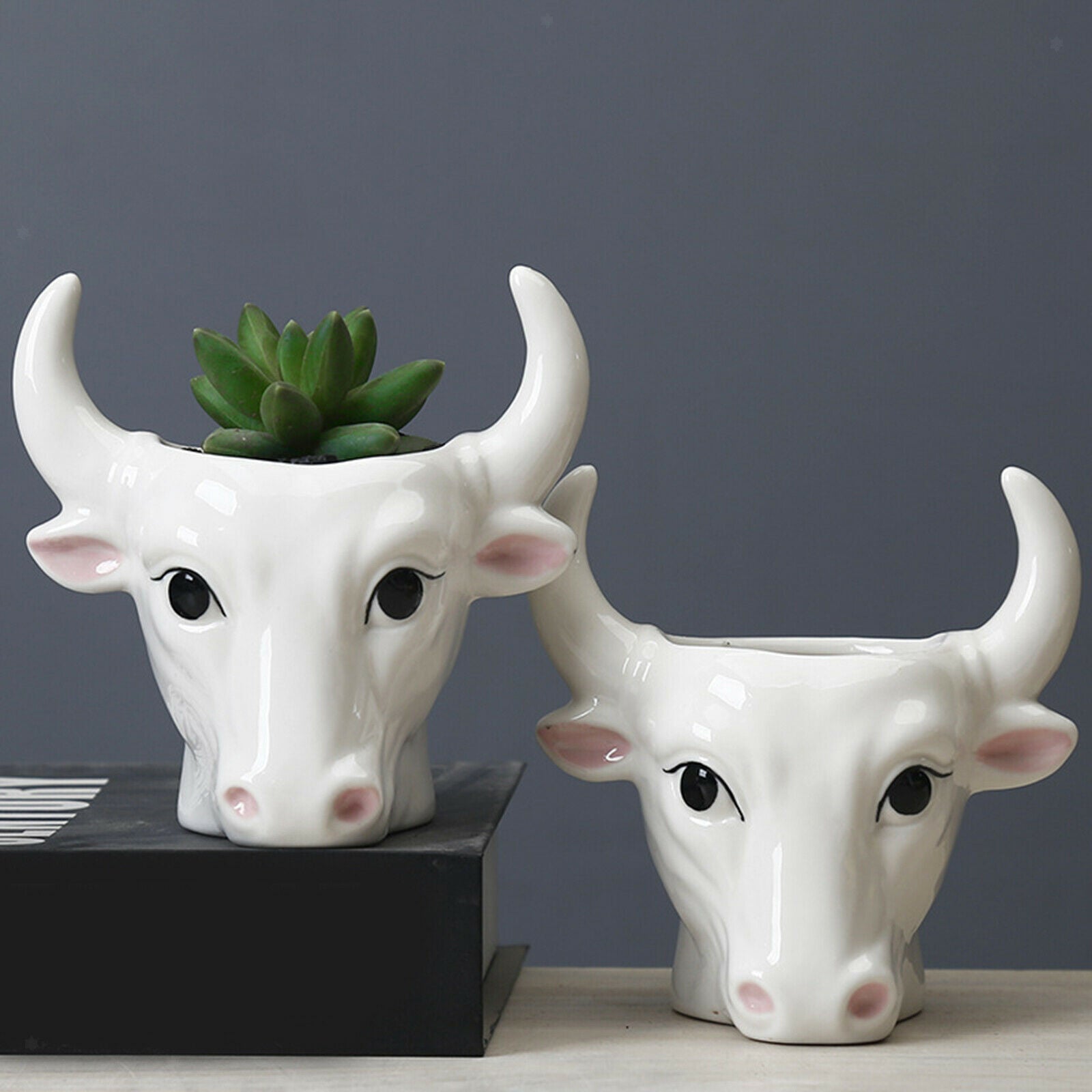 Bull Succulent Pot Flower Plant Planter Flowerpot Office Balcony Ornament