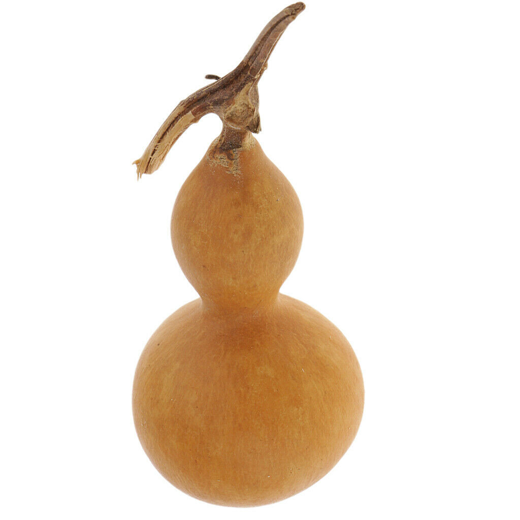 Natural Dried Gourd Fruit Crafts Home Table Accent Decor Ornament DIY Painting