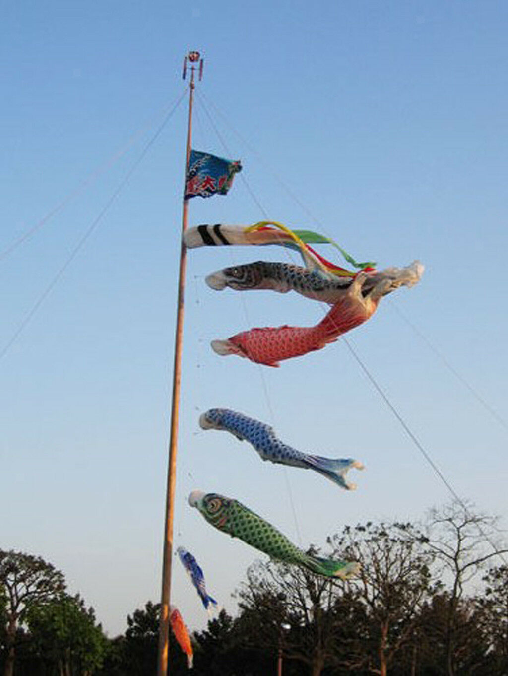55cm Japanese Carp Windsock Streamer   Flag Kite Nobori Koinobori Black