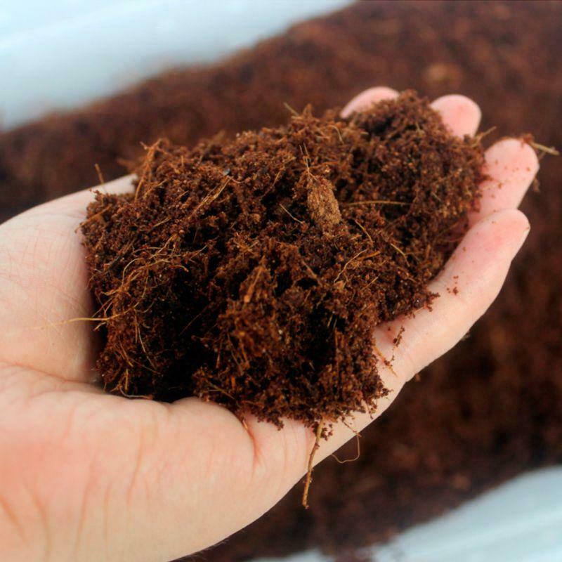 Reptile Brick Coconut Natural Bedding Pad For Amphibians Reptiles Animal Pets