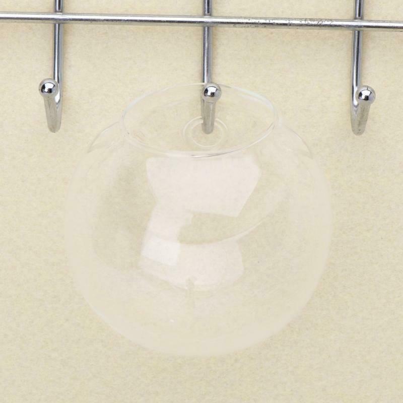 Glass Vase Wall Hanging Hydroponic Terrarium Fish Tanks Potted Plant Flower pot