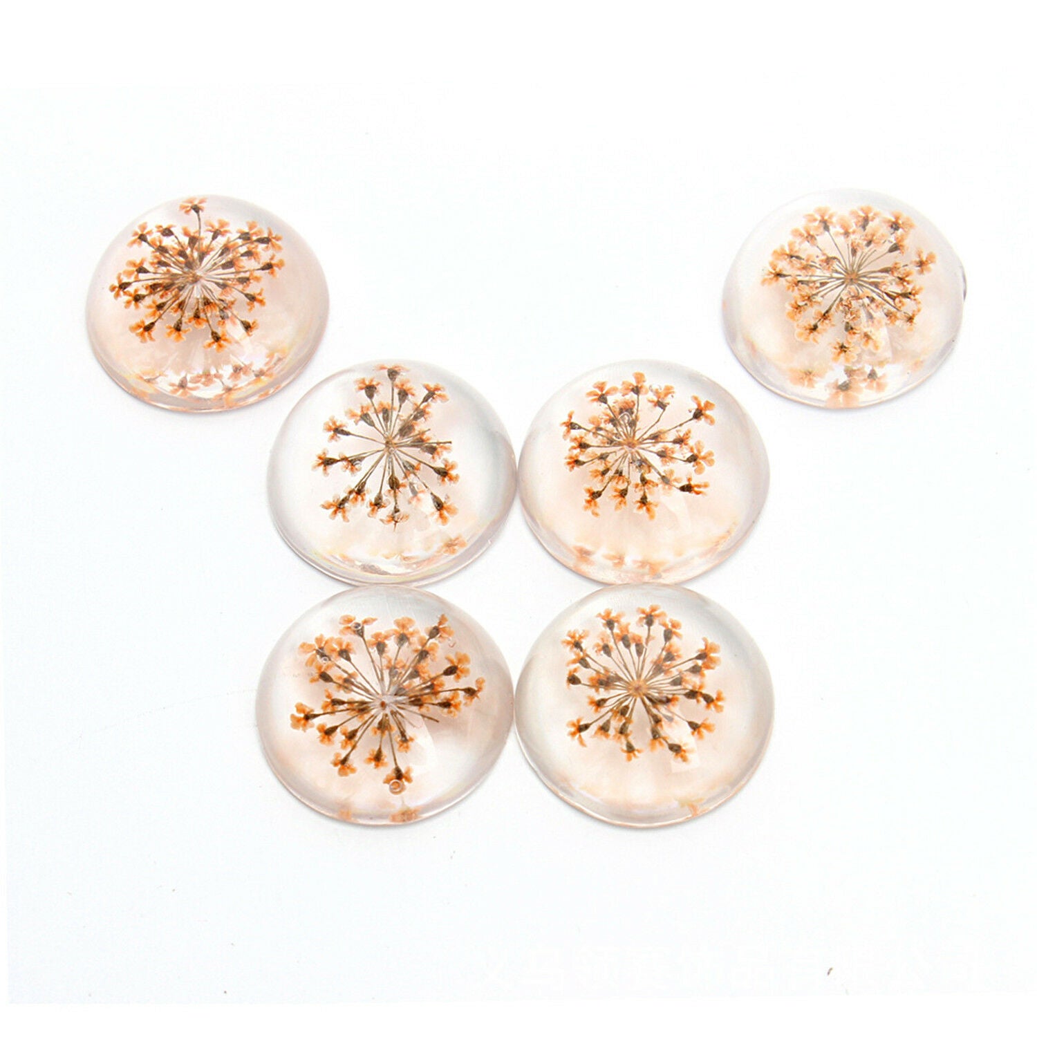 5 pcs Round Glass Cabochon Dried Flower Time Gem DIY Art Craft For Jewelry 25mm