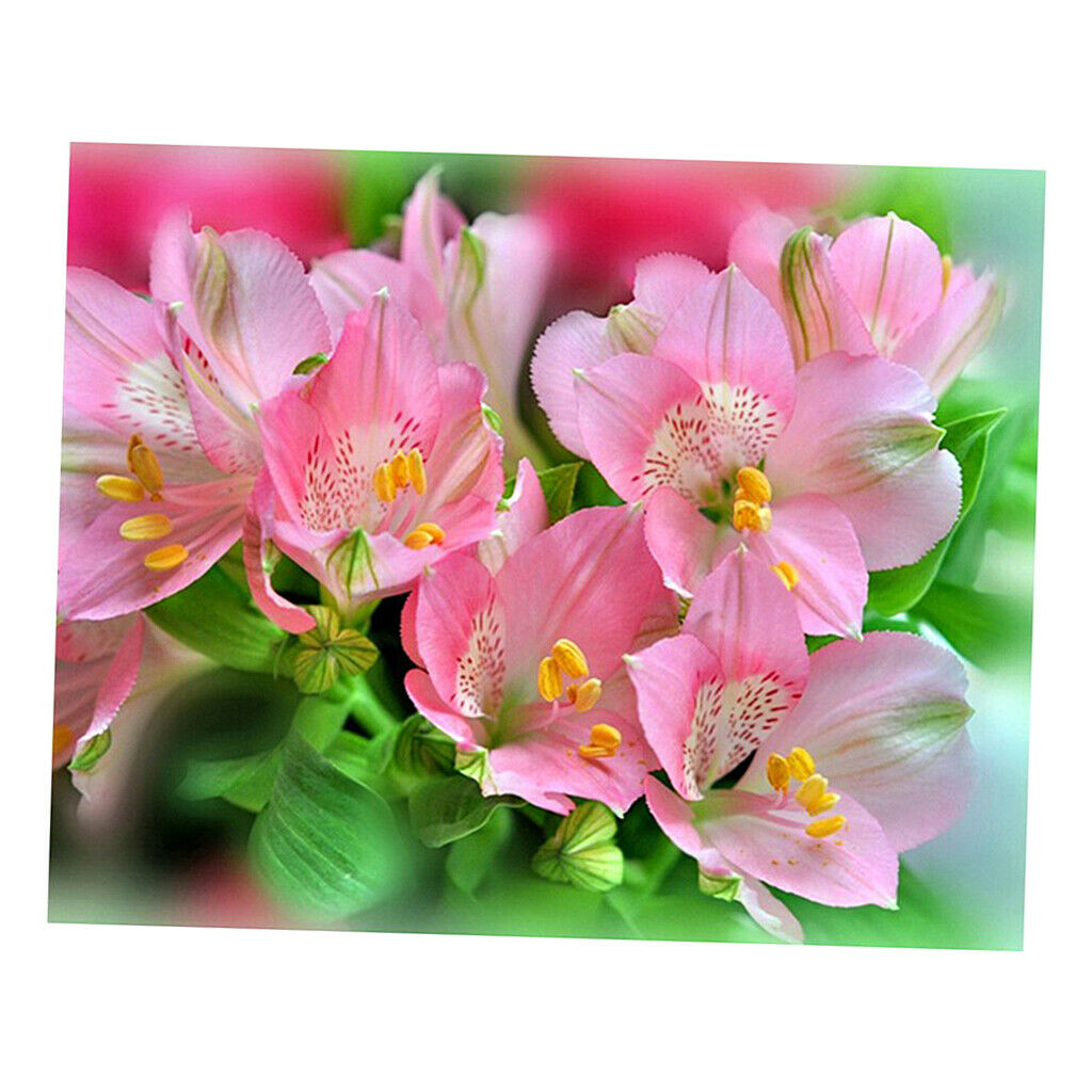 Pink Flowers DIY 5D Diamond Painting Embroidery Cross Stitch Kit Home Decor