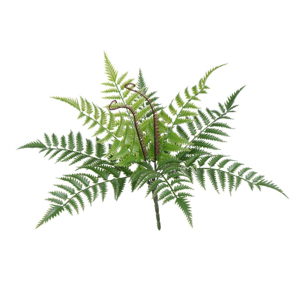 Natural Real Dried Leaves Press Dry Ferns Leaves for Nail Art Decor DIY