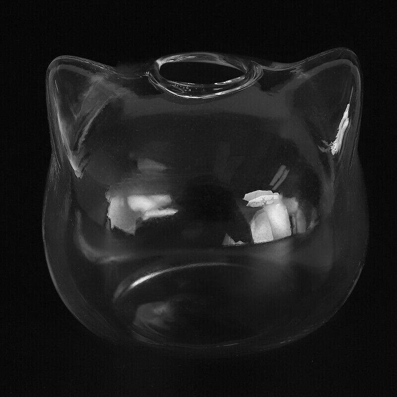 Cat Shaped Glass Vase Hydroponic Plant Flower Vase Terrarium Container Pot DecF5