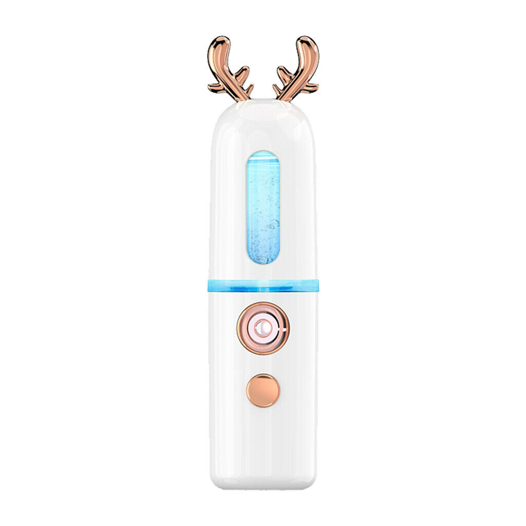 2 Packs USB Facial Nano Spray Hydrating Spraying Machine Moisturizing Tool