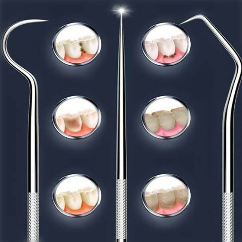 3pcs/set Stainless Steel Toothpick Oral Care Flossing Tool Portable KeychainFCA