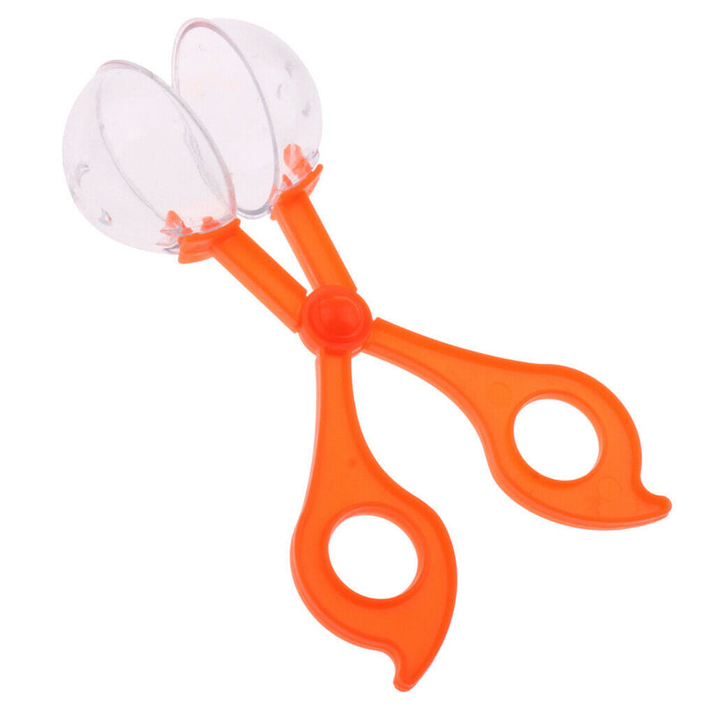 Clamps Catch Insects Wasps Mosquitoes Catcher Games Children Plastic Random