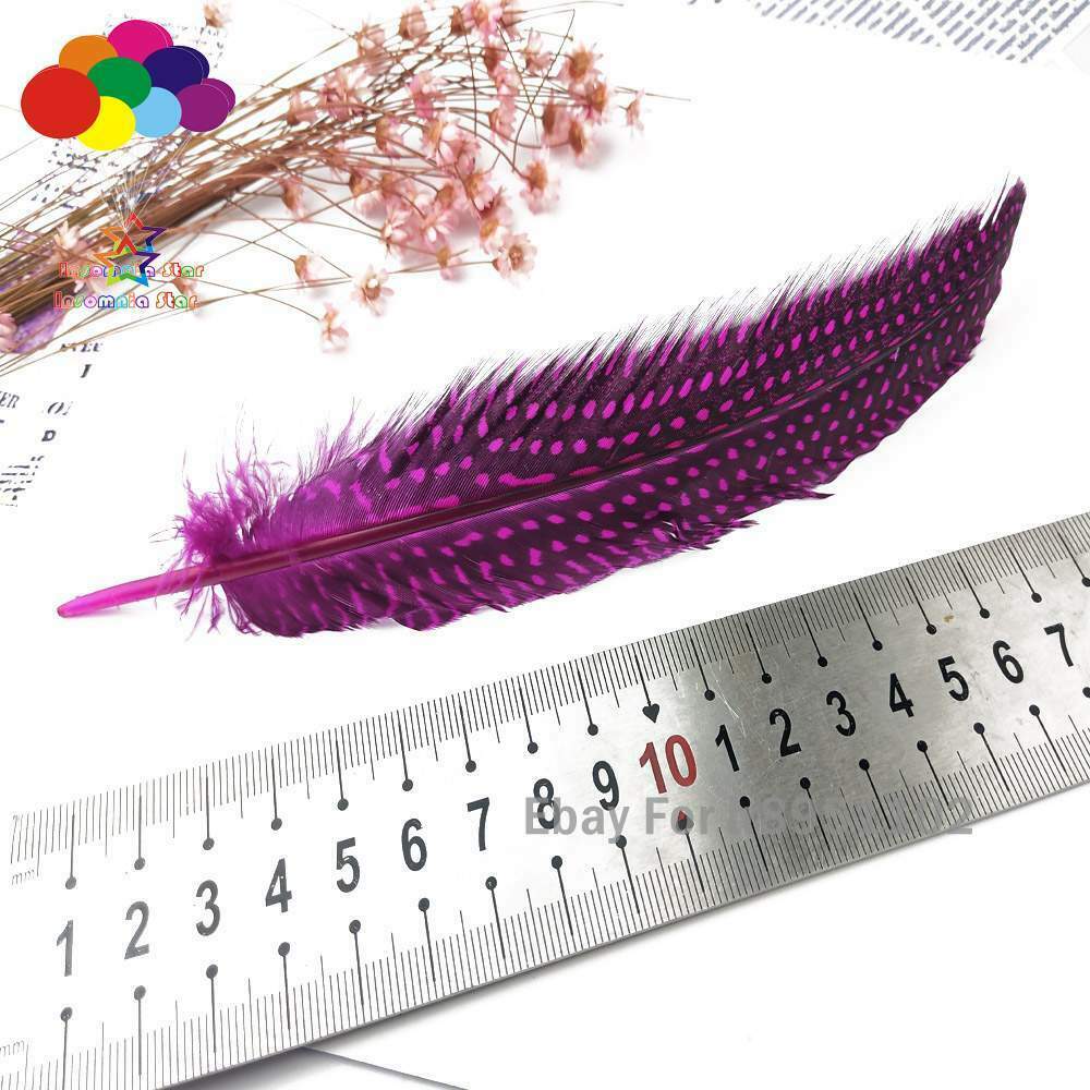Turkey rose red 100pcs Unique Dyed Polka Dot Guinea Fowl Wing Quill Feathers