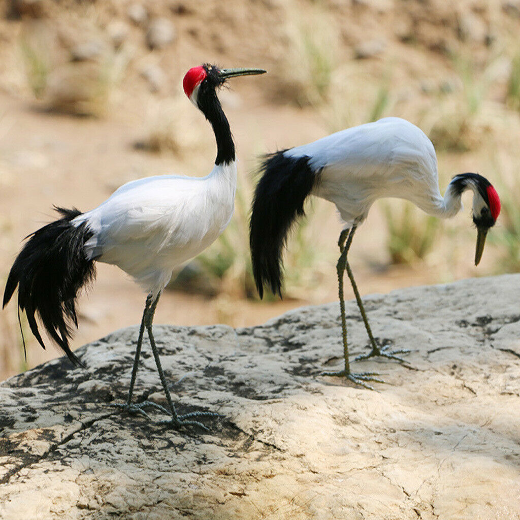 Artificial Red-crowned Crane Outdoor Garden Yard Pond Ornament Sculpture #2