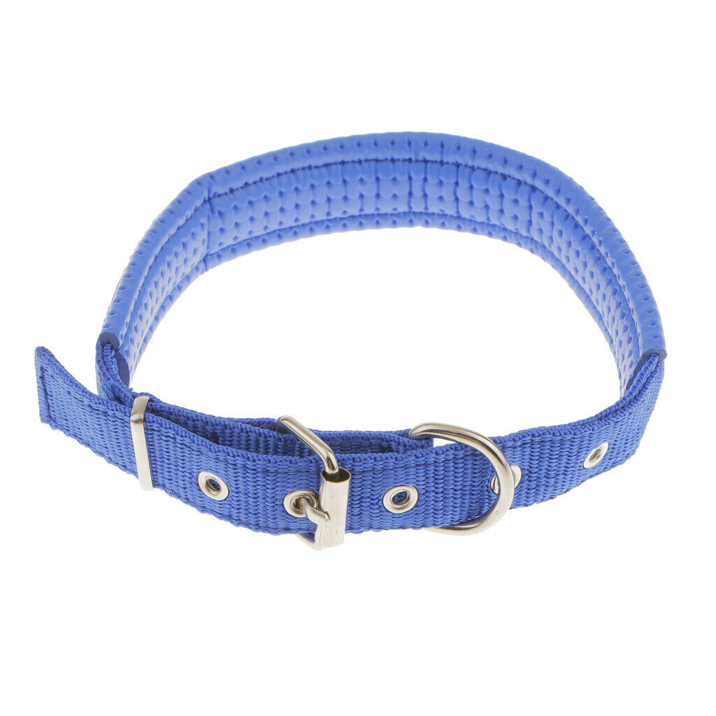 Adjustable Padded Nylon Pet Puppy Dog Basic Collar Safety Neck Strap Blue_S