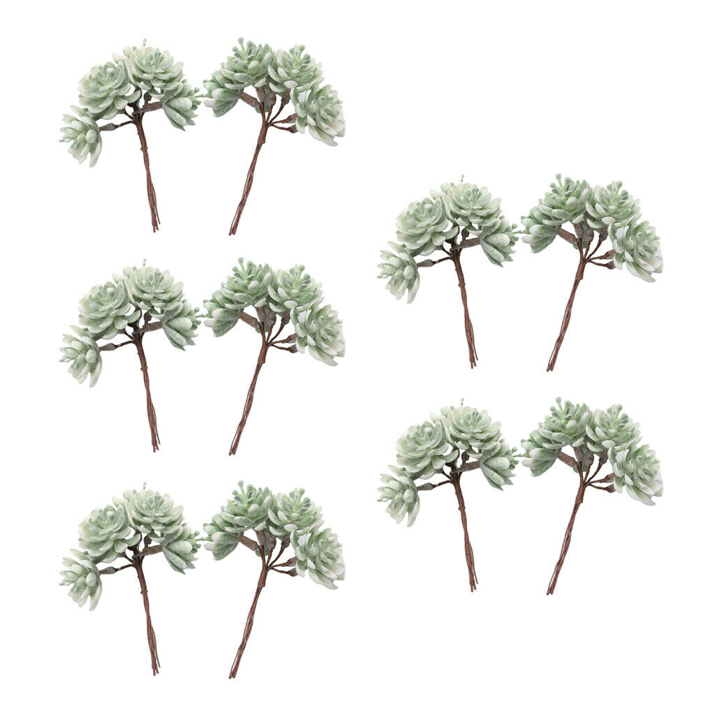 10pcs Pressed Dried Flowers Artificial Succulent Plants Wedding Party Decor