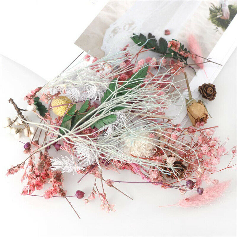 Dried Flower Aromatherapy Candle Making DIY Material For Candle Soap Mak CgR XC