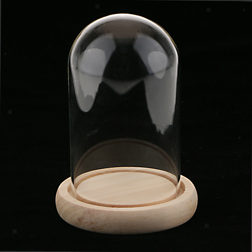 Glass Display Dome Cloche Bell Jar With Wooden Base for DIY Decoration #A