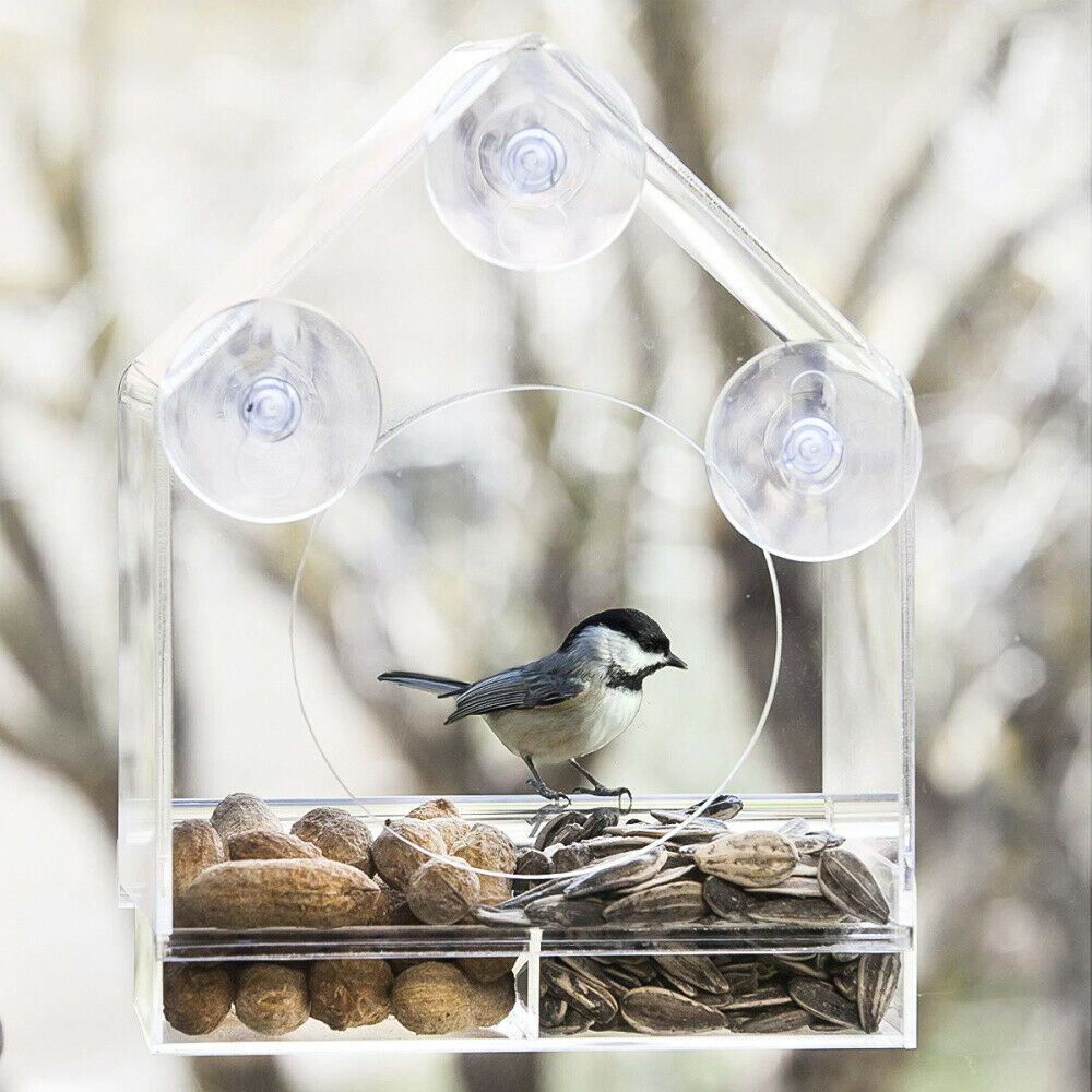 Acrylic Transparent Window Bird Feeder Large Weather Suction Cups Birds House