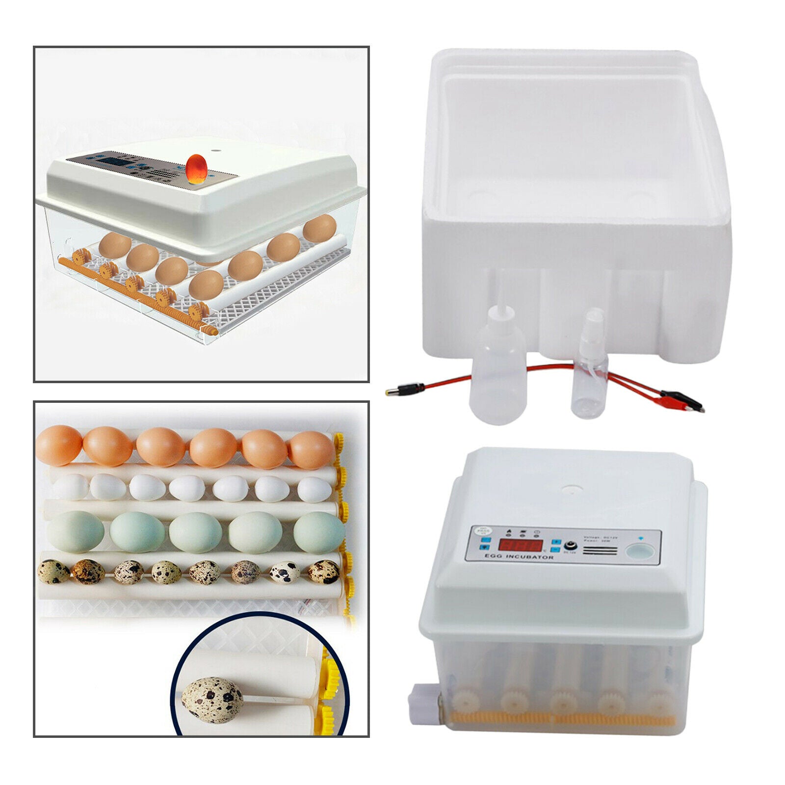 Automatic 16/36 Digital Chick Bird Egg Incubator Hatcher 16 Eggs