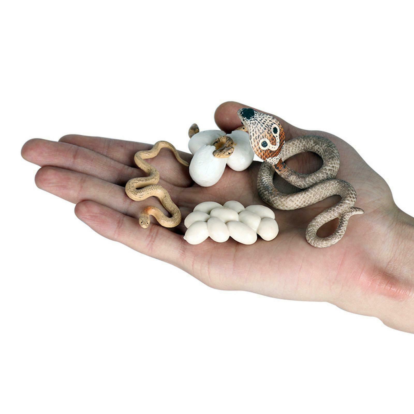 Realistic Cobra Growth Figures Kids Cognitive Toys Role Play Themed Party