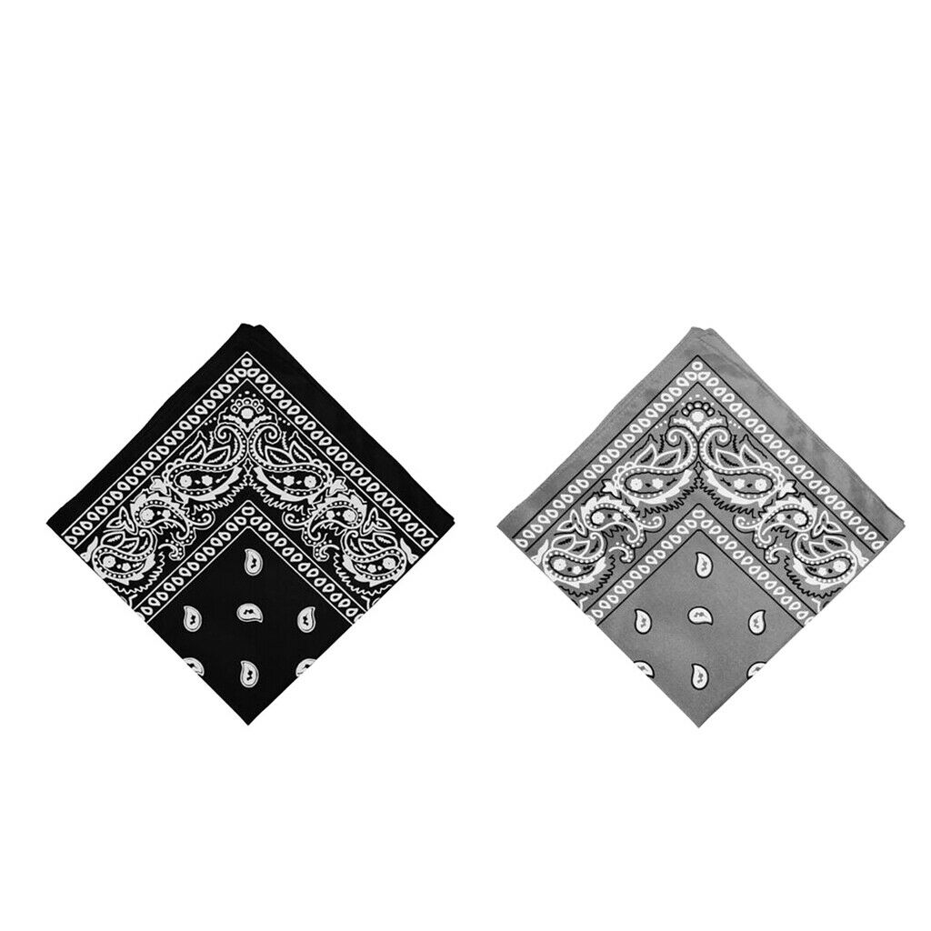 2Pcs Women Men Cotton Paisley Print Paisley Bandana Head Wrap Neck Hair Band