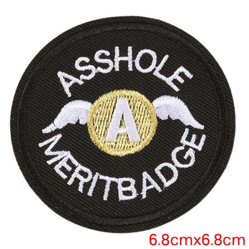 10x Embroidered Iron On Sew On Patches Set Badge Bag Fabric Applique Craf.l8