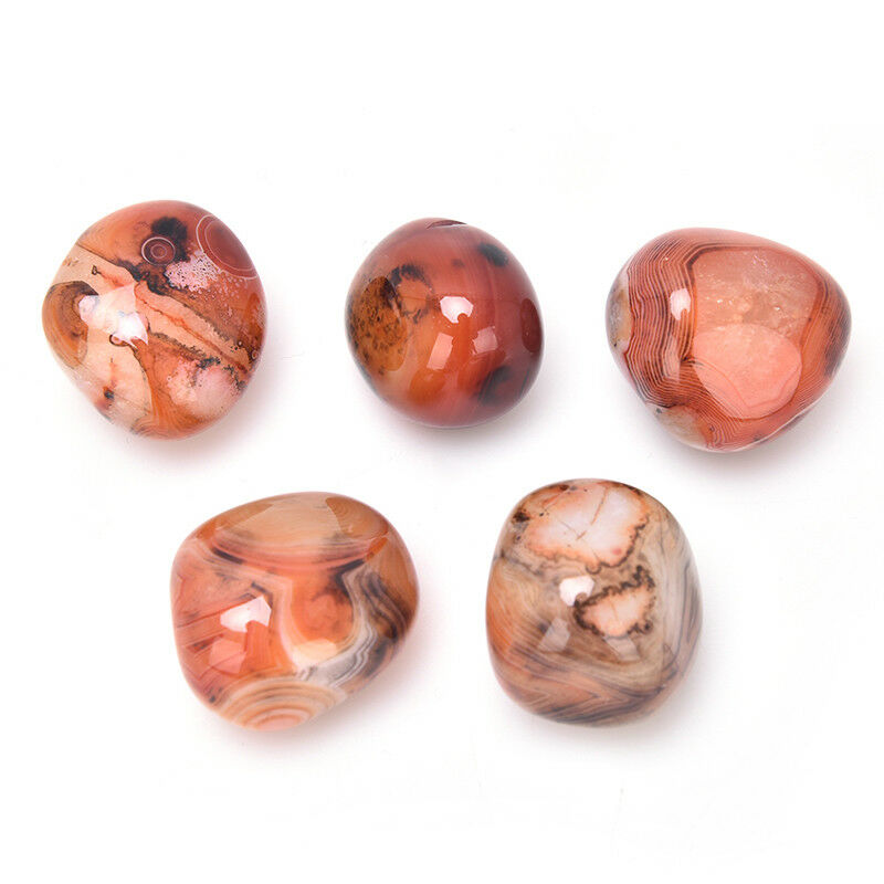 5Pcs Natural Banded Agate Madagascar,Xlarge Tumbled Beautiful Patterns   ZB Tt