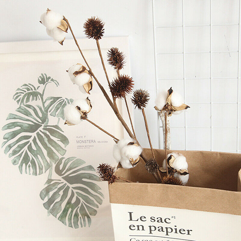 Naturally Dried Cotton Flowers Artificial Plants Floral Branch for Decora.l8