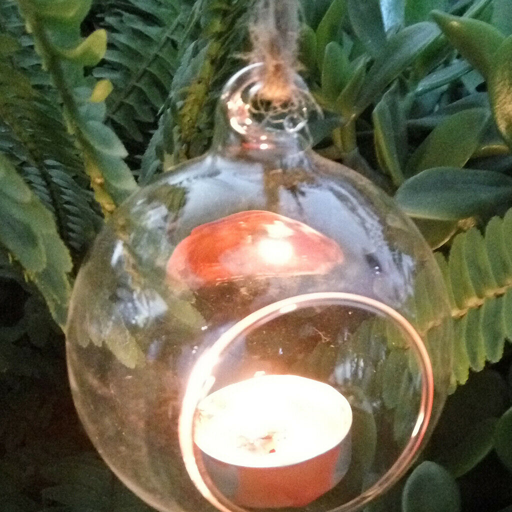 Clear Glass Ball Candlestick Flower Vase Home Garden Decor 8cm_Round Base