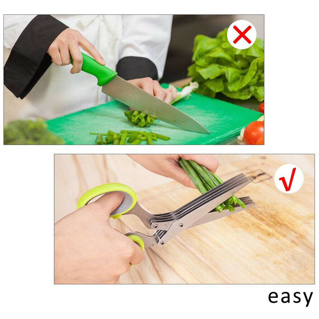 Kitchen shallot scissors 5 layers Hreb Cutter green onion