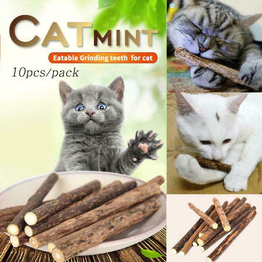 10PCS Cat Snacks Natural Matatabi Chew Catnip Stick Molar Cleaning Brush B3J6