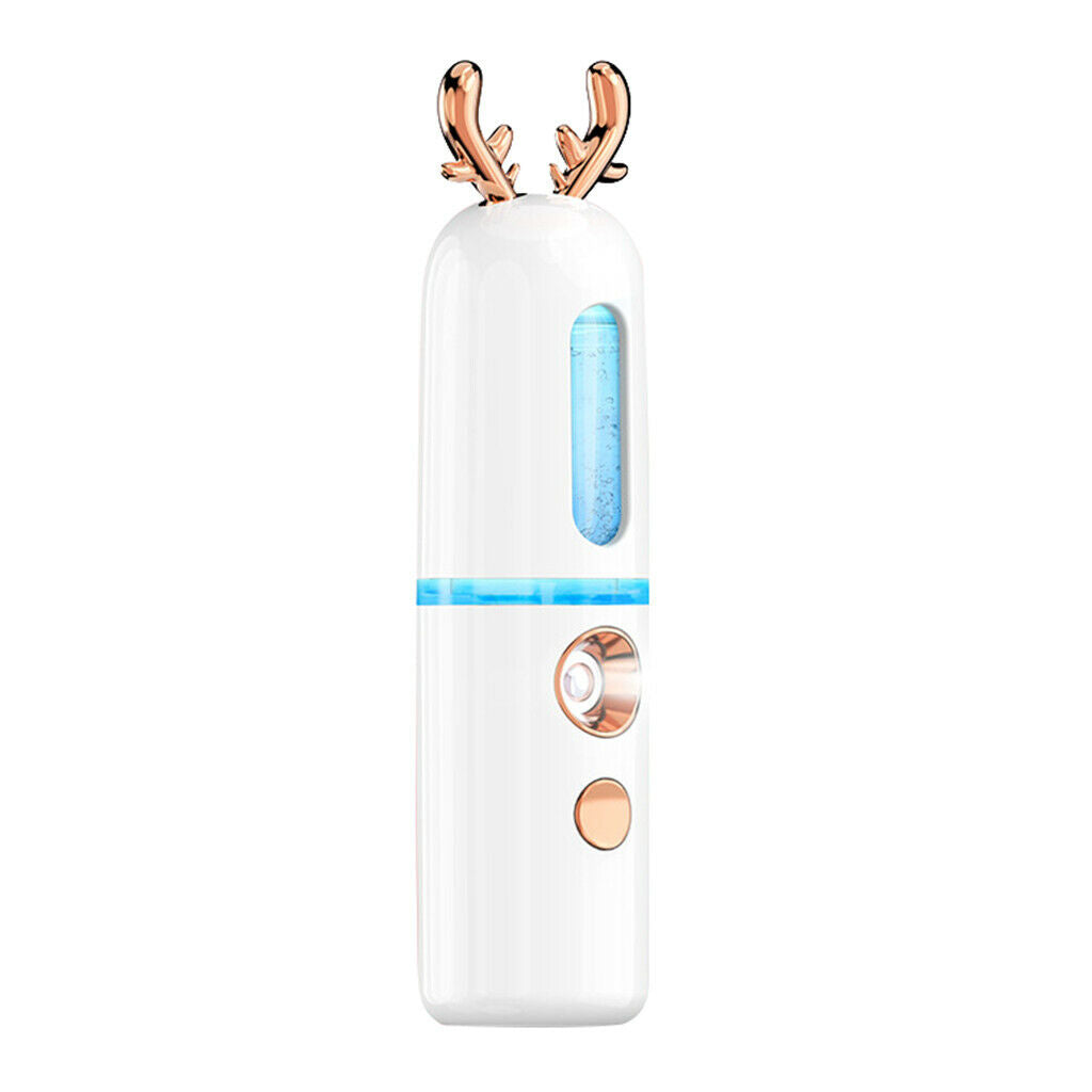 2 Packs USB Facial Nano Spray Hydrating Spraying Machine Moisturizing Tool