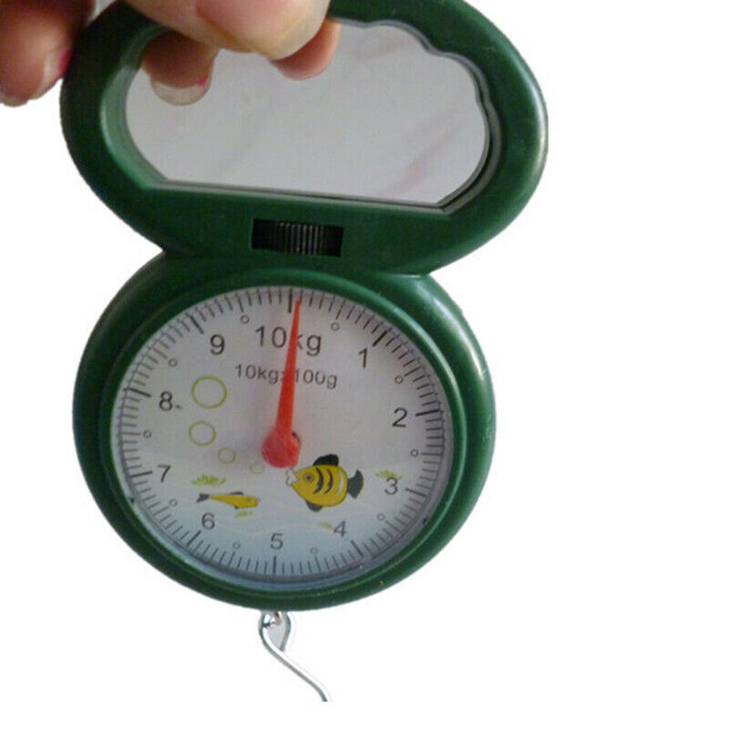 Portable Mini Pointer Hook Hanging Weighing Scales Weighing Scales for Fi.l8