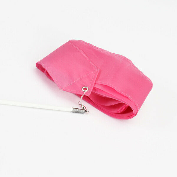 2x Pink Gym Rhythmic Gymnastic Ballet