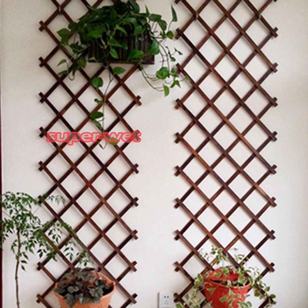 Home Garden Wood Wall Trellis Expanding Flower Plant Climbing Fence 150X30cm New