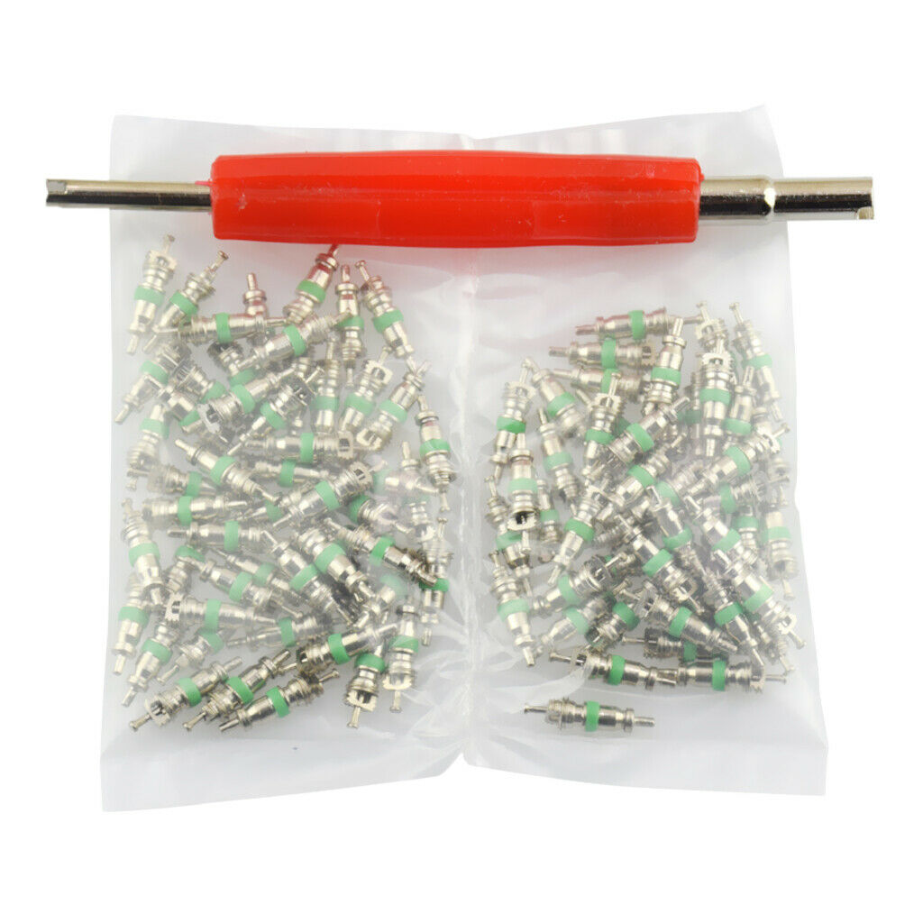 101 Pcs Assortment A/C AC Shrader Valve Core & Tool R12 HVAC Valves kit
