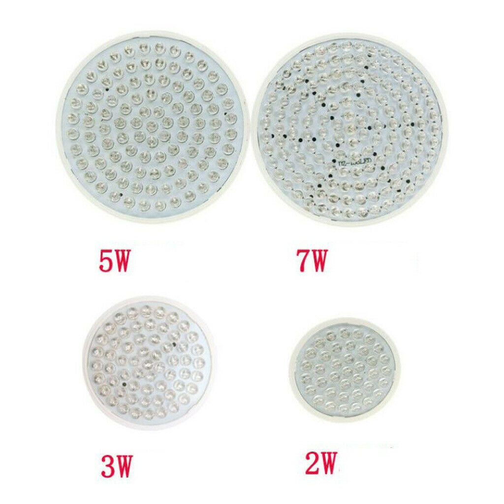 LED Grow Light Bub Fruit Flower Plant Grow Lamp for Indoor Plants  1