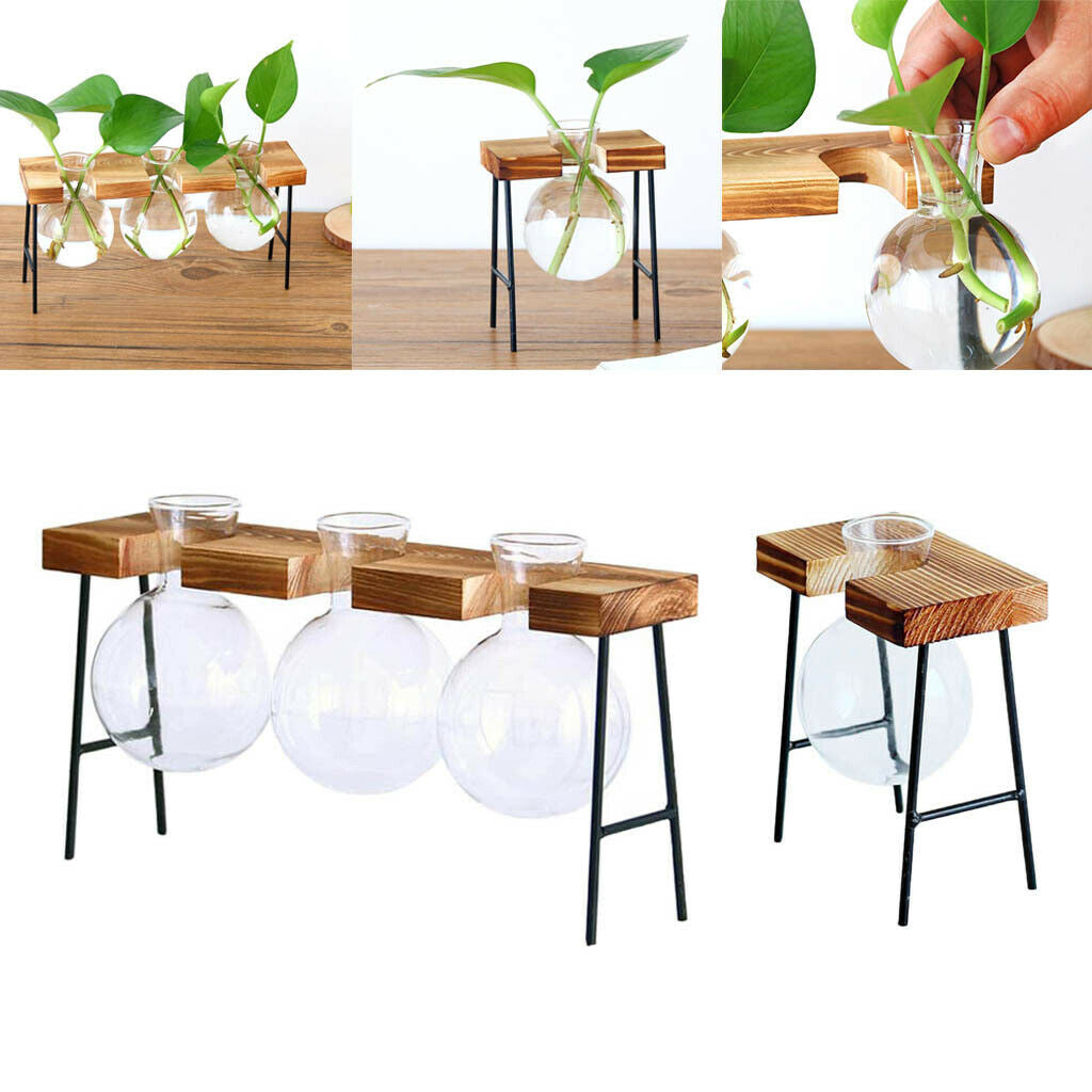 Set of 2 Hydroponic Glass Planter Terrarium Gardening Indoor Outdoor L/S