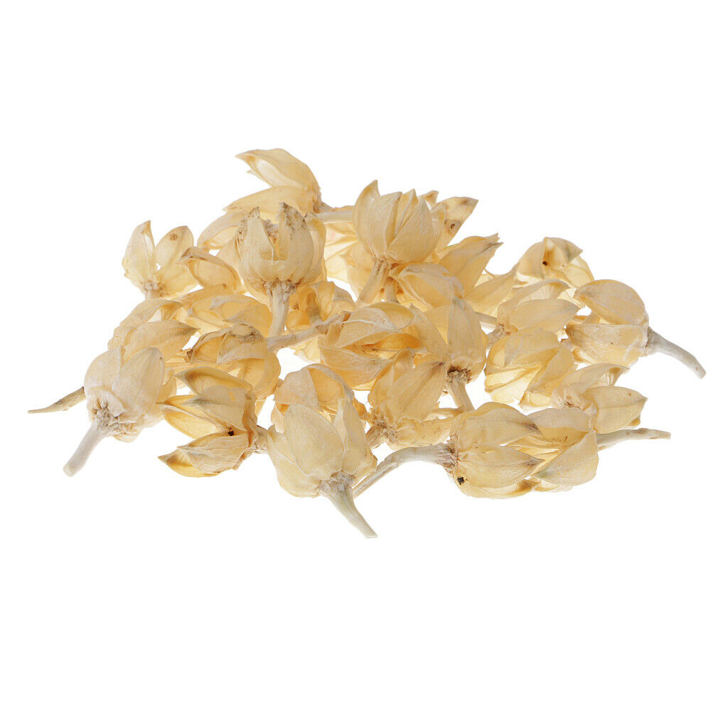 30x 2-3cm Dried Decolourize Rose Hips For Christmas Wedding Decor DIY Crafts