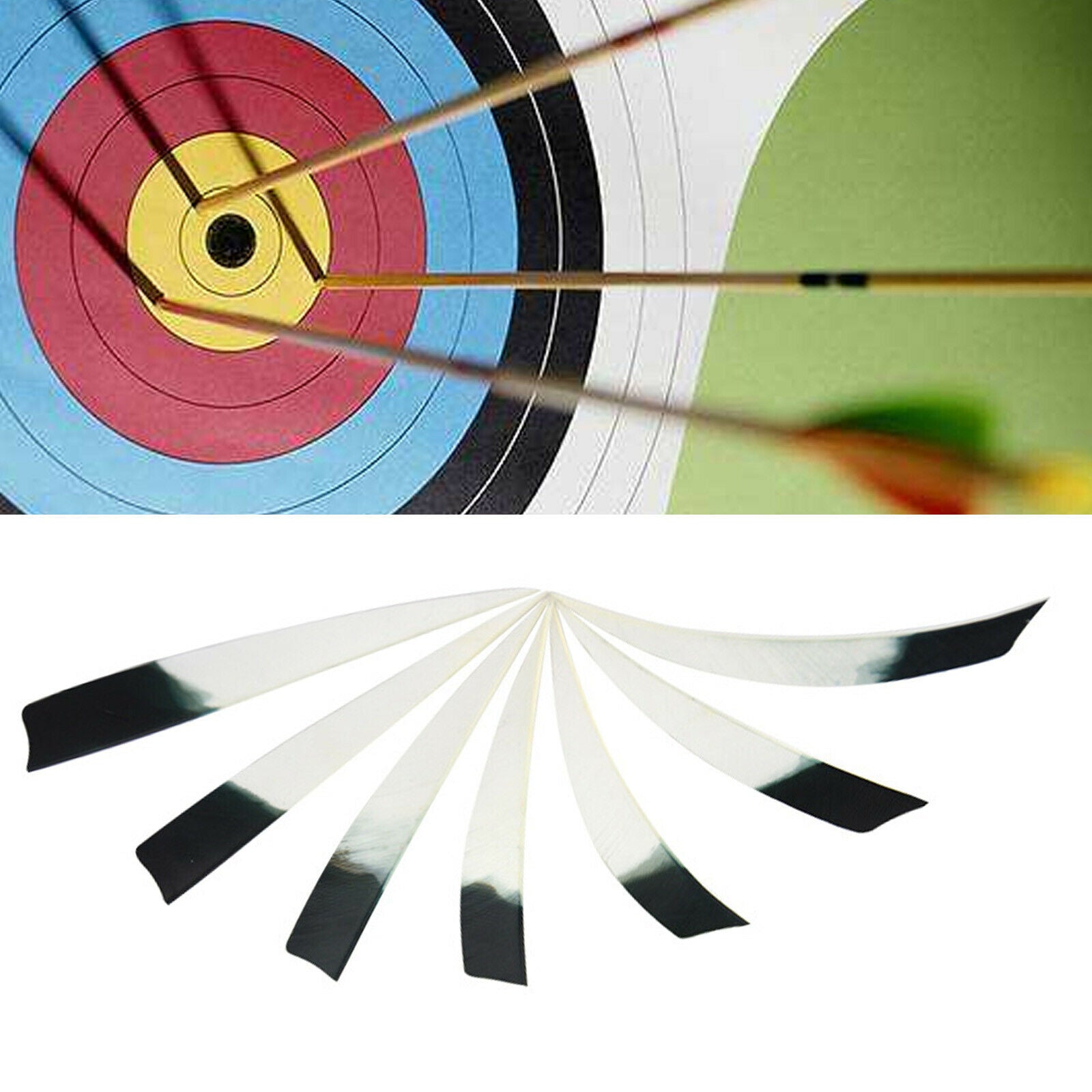 50PCS 5" Archery Arrow Fletches Feathers Turkey Fletching Right Wings Shield CA