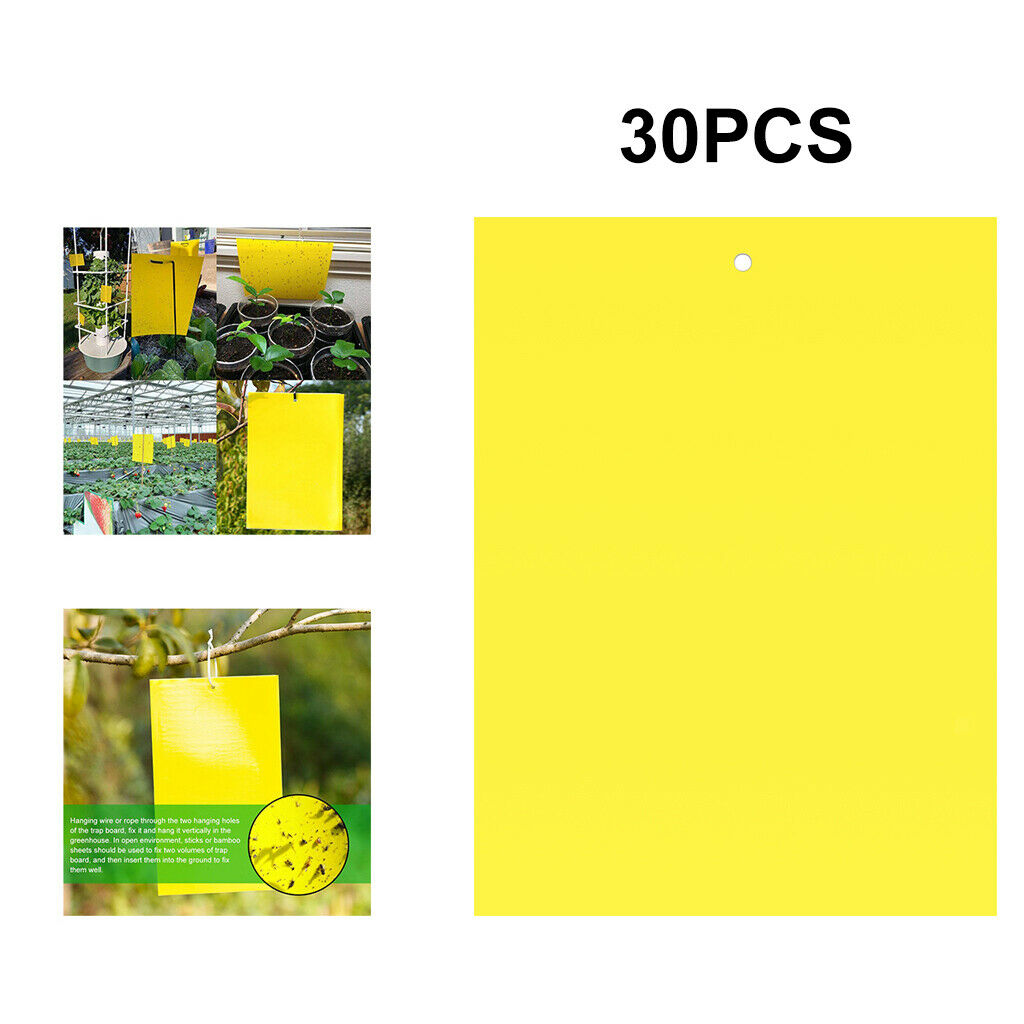 Double-Sided Sticky Traps 6x4 Inch for Whiteflies Aphids Thrips 30pcs