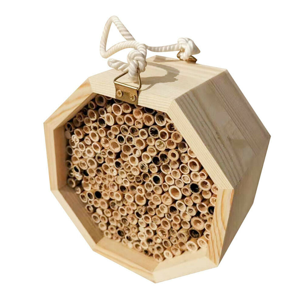 1Pcs Wooden Bee House Set Tube Beekeeping Box Bees Nesting Box Garden Insect Box