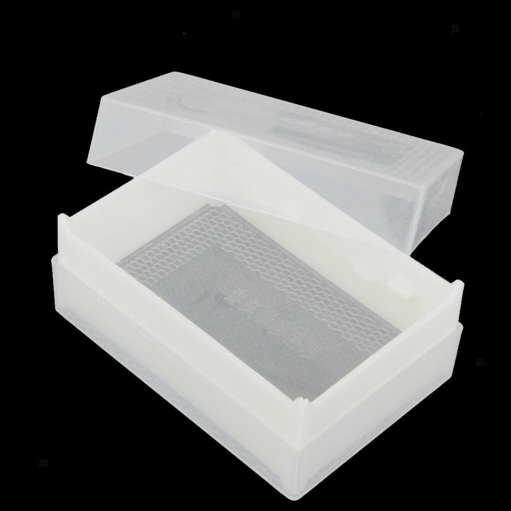 5Pcs Beekeeping Tool Honey Box Honey Lattice Honey Bee  Box 250g UK