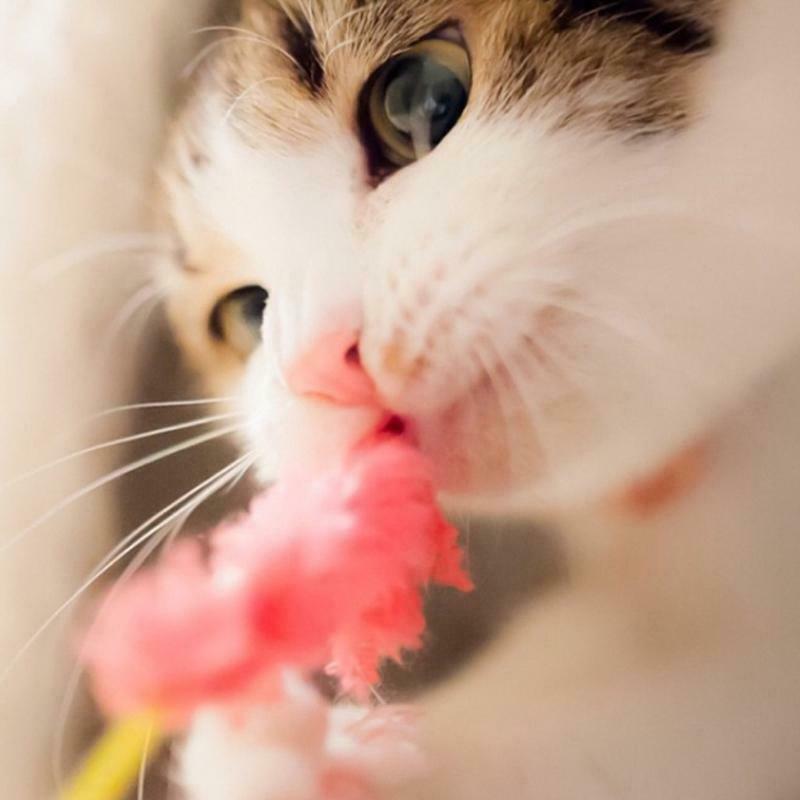 Catnip Filled Toys for Cat Exercise Cats Toys Fun Plush Kitten Entertaining Toys