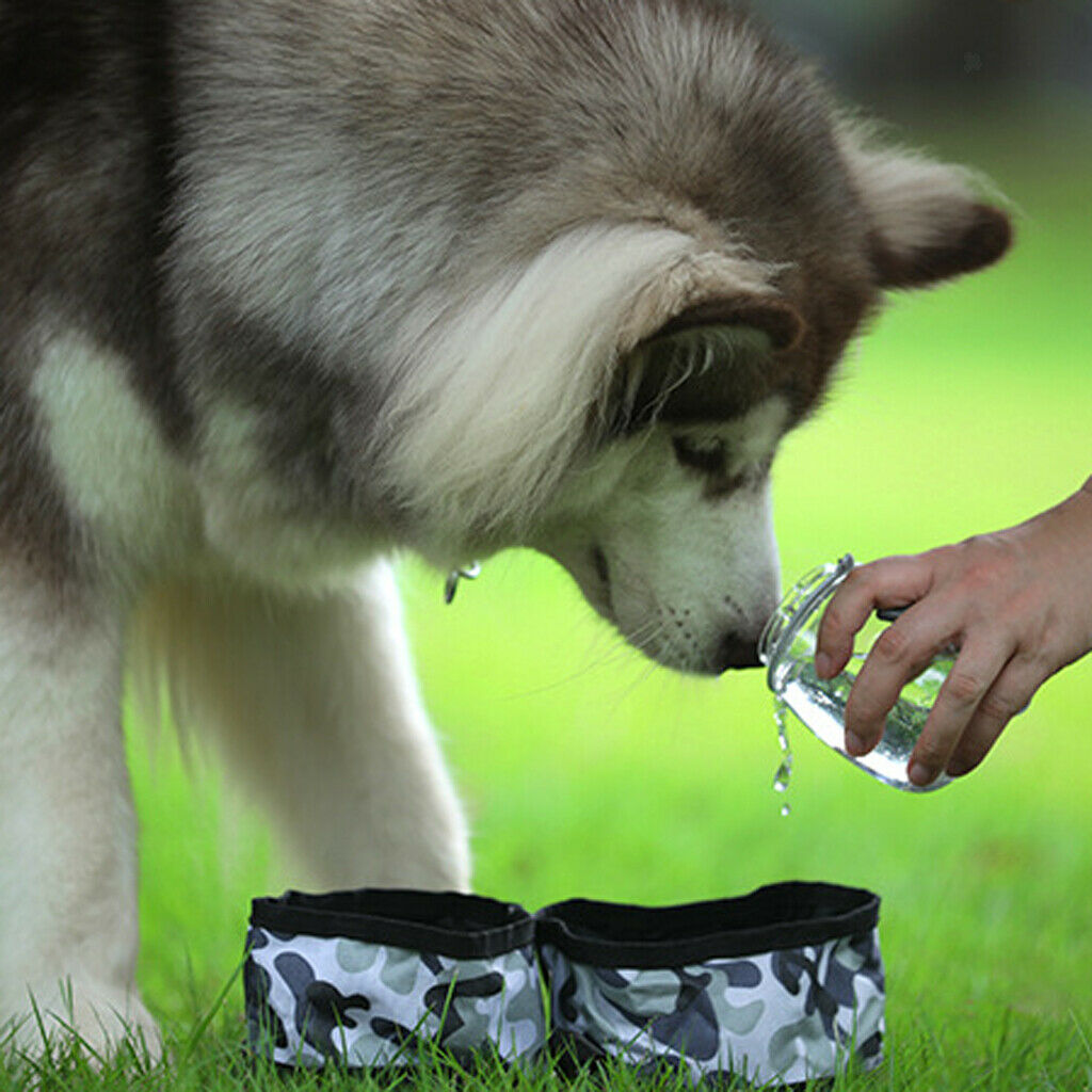 Portable Collapsible Canvas Dog Bowl for Pet Dog Cat Travel Outdoor  Yellow