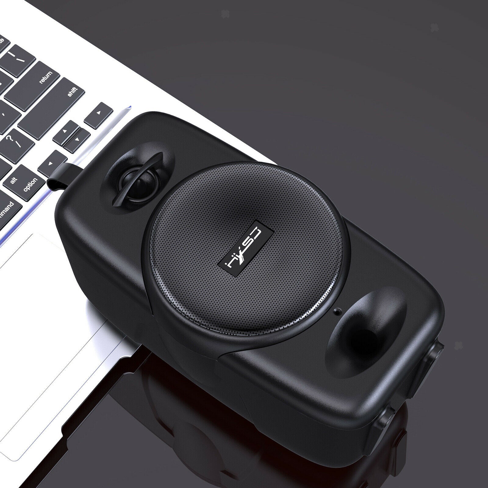 Mini Wireless Amplifier Waterproof with Mic 2000mAh Handsfree AUX USB Bass