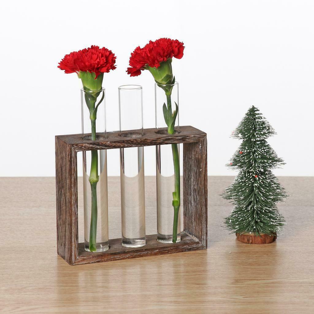 2pcs Glass Vase Test Tube in  Stand for Flowers Plants Home Decor 3 Tube